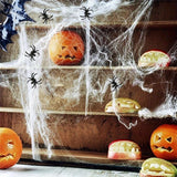20pcs Cobwebs Decor With 40pcs Frightening Fake Spiders Haunting Webbing For Haunted House, Bar, Room, Can Covers 861 Sqft Spider Web Outdoor Halloween Transformation